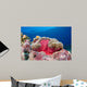 Clownfish Swimming around Its Wall Decal