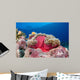 Clownfish Swimming around Its Wall Decal