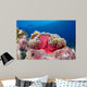 Clownfish Swimming around Its Wall Decal