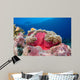 Clownfish Swimming around Its Wall Decal