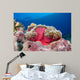 Clownfish Swimming around Its Wall Decal