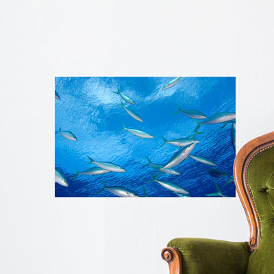 Large School Rainbow Runners Wall Decal shown on a wall