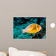 Baby Amphiprion Perideraion Clownfish Wall Decal