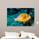 Baby Amphiprion Perideraion Clownfish Wall Decal