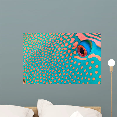 Extreme Close-up Pattern Bicolor Wall Decal shown on a wall