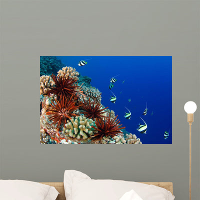 Sea Urchins Pennantfish and Wall Decal shown on a wall