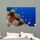 Sea Urchins Pennantfish and Wall Decal