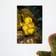 Longlure Frogfish Waves It's Wall Decal