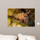 This Female Marbled Shrimp Wall Decal