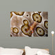 Imperial Shrimp Sea Cucumber Wall Decal Design 2