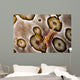 Imperial Shrimp Sea Cucumber Wall Decal Design 2