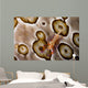 Imperial Shrimp Sea Cucumber Wall Decal Design 2