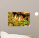 Clark's Anemonefish Sea Anemone Wall Decal