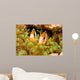 Clark's Anemonefish Sea Anemone Wall Decal
