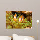 Clark's Anemonefish Sea Anemone Wall Decal