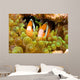 Clark's Anemonefish Sea Anemone Wall Decal