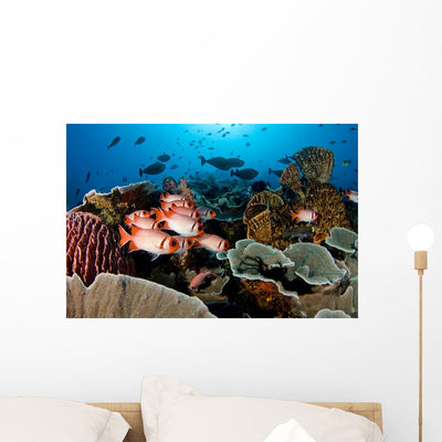 Reef Scene with Hard Wall Decal shown on a wall