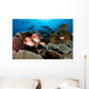 Reef Scene with Hard Wall Decal