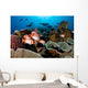 Reef Scene with Hard Wall Decal