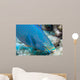 Queen Parrotfish Feeding Bonaire Wall Decal