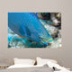 Queen Parrotfish Feeding Bonaire Wall Decal