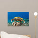 This Species Sponge Crab Wall Decal