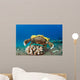This Species Sponge Crab Wall Decal