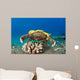 This Species Sponge Crab Wall Decal