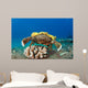 This Species Sponge Crab Wall Decal