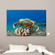 This Species Sponge Crab Wall Decal