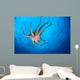Tentacle Suckers Day Octopus Wall Decal Design 1
