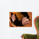 Pair White-eyed Morays Share Wall Decal