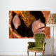 Pair White-eyed Morays Share Wall Decal
