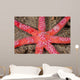 Six-arm Sea Star Echinaster Wall Decal