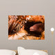 White-eyed Moray Eel Gets Wall Decal