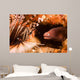 White-eyed Moray Eel Gets Wall Decal