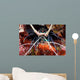 Spiny Lobster Panulirus Femoristriga Wall Decal