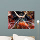 Spiny Lobster Panulirus Femoristriga Wall Decal