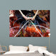 Spiny Lobster Panulirus Femoristriga Wall Decal