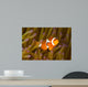 Western Clown Anemonefish Amphiprion Wall Decal