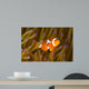 Western Clown Anemonefish Amphiprion Wall Decal