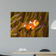 Western Clown Anemonefish Amphiprion Wall Decal