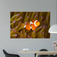 Western Clown Anemonefish Amphiprion Wall Decal