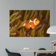 Western Clown Anemonefish Amphiprion Wall Decal