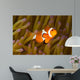 Western Clown Anemonefish Amphiprion Wall Decal