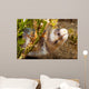 Barred Moray Eel Photographed Wall Decal
