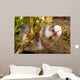 Barred Moray Eel Photographed Wall Decal