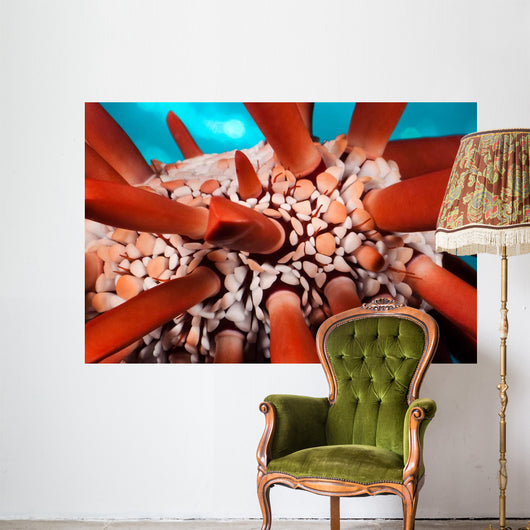 Slate Pencil Sea Urchin Wall Decal