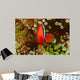 Pair Bridled Anemonefish Bubble-tip Wall Decal