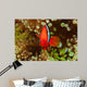 Pair Bridled Anemonefish Bubble-tip Wall Decal